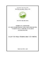 Nghiên cứu ảnh hưởng của một số biện pháp kỹ thuật đến sinh trưởng và bệnh vàng lá thối rễ cây ba kích tại thái nguyên 
