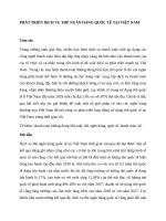 PHÁT TRIỂN DỊCH VỤ THẺ NGÂN HÀNG QUỐC TẾ TẠI VIỆT NAM