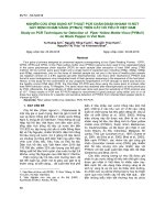 Nghiên cứu ứng dụng kỹ thuật PCR chẩn đoán nhanh vi-rút gây bệnh khảm vàng (PYMoV) trên cây hồ tiêu ở Việt Nam