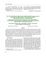 Kết quả giám định và một số đặc điểm của nấm Fusarium fujikuroi Nirenberg gây bệnh vàng lá thối rễ cây ba kích (Morinda officinalis How.) tại Quảng Ninh