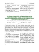 Khả năng đối kháng của các chủng xạ khuẩn đối với nấm Fusarium solani gây bệnh vàng lá thối rễ trên cây có múi