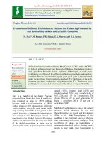 Evaluation of different establishment methods for enhancing productivity and profitability of rice under puddle condition