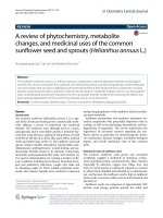 A review of phytochemistry, metabolite changes, and medicinal uses of the common sunflower seed and sprouts (Helianthus annuus L.)