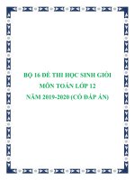 Bộ 16 đề thi học sinh giỏi môn Toán lớp 12 năm 2019-2020 có đáp án