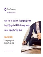 Các vấn đề cần lưu ý trong quá trìnhhoạt động của VPĐD thương nhânnước ngoài tại Việt Nam