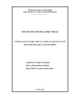 CƠ SỞ LÝ LUẬN VÀ THỰC TIỄN CỦA CÔNG TÁC QUẢN LÝ VÀ SỬ DỤNG ĐẤT RỪNG DỰA VÀO CỘNG ĐỒNG
