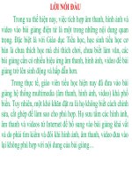 BÀI THI GIẢN   MÔN ĐỊA LÍ LỚP 4 THEO HƯỚNG PHÁT TRIỂN NĂNG LỰC HỌC SINH BÀI: TÂY NGUYÊN.