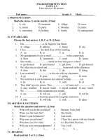 DE KIEM TRA GIUA KY I TIENG ANH 5 Thi diem