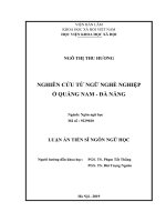 Luận án Tiến sĩ Ngôn ngữ học: Nghiên cứu từ ngữ nghề nghiệp ở Quảng Nam - Đà Nẵng