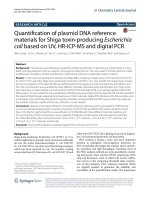 Quantification of plasmid DNA reference materials for Shiga toxin-producing Escherichia coli based on UV, HR-ICP-MS and digital PCR