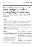 Tissue-specific metabolite profiling and quantitative analysis of ginsenosides in Panax quinquefolium using laser microdissection and liquid chromatography– quadrupole/time of flight-mass