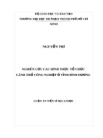 Luận án tiến sĩ Địa lí: Nghiên cứu các hình thức tổ chức lãnh thổ công nghiệp ở tỉnh Bình Dương