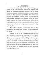 Tiểu luận cao học, vai trò của nhà nước đối với việc phát triển kinh tế nông nghiệp nông thôn ở việt nam