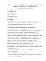 SSH 1121  chu de va de cuong tieu luan Triết 2