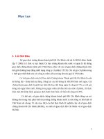 Đặc điểm sở giao dịch TP.HCM HoSE, Các bật cập hiện nay