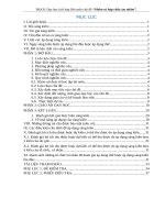 SKKN dạy học tích hợp, liên môn chủ đề nhôm và hợp chất của nhôm 