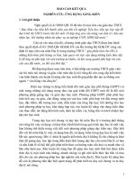 SKKN rèn luyện cho học sinh lớp 8 kỹ năng sử dụng các trang bản đồ hành chính, địa chất và khoáng sản, các nhóm và các loại đất chính trong atlat địa lí việt nam  