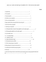 SKKN một số ứng dụng của định lý lagrange và định lý rolle 