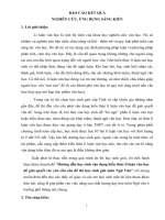 SKKN hướng dẫn học sinh vận dụng kiến thức lí luận văn học để giải quyết các yêu cầu của đề thi học sinh giỏi môn ngữ văn 