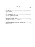 SKKN dạy đọc hiểu truyện ngắn chí phèo trong chương trình ngữ văn 11 theo hướng tích hợp 