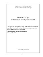 SKKN dạy truyện ngắn những đứa con trong gia đình của nhà văn nguyễn thi theo định hướng phát triển năng lực học sinh 