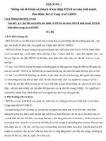 SKKN những vấn đề lí luận và pháp lí về xây dựng MTGD an toàn, lành mạnh, 