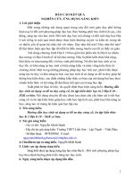 báo cáo kết quả nghiên cứu ứng dụng sáng kiến hướng dẫn học sinh sử dụng sơ đồ tư duy củng cố, ôn tập kiến thức học kì 2 địa lí 10   CB 