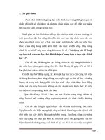 SKKN sử dụng các kĩ thuật dạy học tích cực vào dạy chủ đề tích hợp quang hợp ở thực vật   sinh học 11 