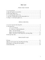 SKKN phân loại và hướng dẫn phương pháp giải bài tập trắc nghiệm phần sóng ánh sáng lớp 12 cơ bản 