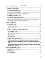 SKKN một số biện pháp bồi dưỡng học sinh tiểu học giải toán có nội dung hình học lớp 5 