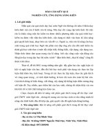 SKKN rèn kĩ năng viết phần giải thích trong đề thi học sinh giỏi THPT môn ngữ văn 