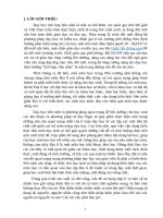 SKKN vận dụng kiến thức liên môn vào giảng dạy phần địa lí tự nhiên lớp 12 (ban cơ bản) 