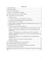 SKKN phân loại và phương pháp giải nhanh bài tập về sắt và hợp chất của sắt 