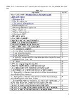 SKKN dự án dạy học theo chủ đề tích hợp nhằm phát triển năng lực học sinh – tác phẩm “chí phèo” (nam cao) 