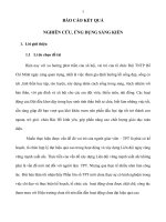 SKKN một số biện pháp xây dựng liên đội vững mạnh xuất sắc ở trường tiểu học 