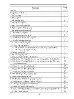 SKKN BA câu điều KIỆN cơ bản và các DẠNG bài tập vận DỤNG  ANH 11 