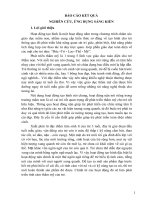 SKKN một số biện pháp hướng dẫn trẻ 3 4 tuổi phát triển thẩm mỹ qua hoạt động nặn trong trường mầm non huyện tam dương, tỉnh vĩnh phúc 