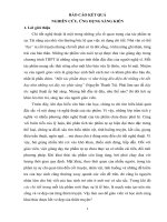 SKKN dạy đọc hiểu truyện ngắn chí phèo trong chương trình ngữ văn 11 theo hướng tích hợp 