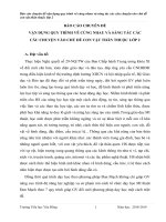 Báo cáo chuyên đề vận dụng quy trình vẽ cùng nhau và sáng tác các câu chuyện vào chủ đề con vật thân thuộc lớp 2 