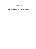 CHUYÊN đề bài TOÁN CHIA hết TRONG số học 