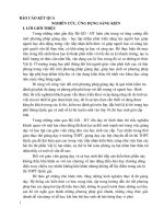 SKKN phương pháp giải nhanh bài toán phóng xạ trong chương trình vật lý lớp 12 