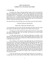 SKKN một số giải pháp xây dựng lớp chủ nhiệm đoàn  kết tại lớp 11a4 trường THPT tam đảo 2 