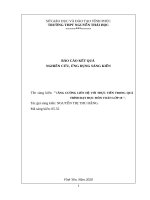 SKKN tăng cường liên hệ với thực tiễn trong quá trình dạy học môn toán lớp 10 