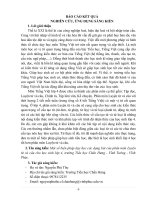 SKKN một số biện pháp dạy học các dạng bài của phân môn luyện từ và câu cho học sinh lớp 4, trường tiểu học chấn hưng   vĩnh tường   vĩnh phúc  