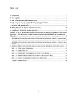 SKKN hiệu quả dạy và học chủ đề tích hợp các nguyên tố hóa học và sự vận chuyển các chất qua màng sinh chất theo phương pháp và kỹ thuật tổ chức hoạt động tự học của học sinh 