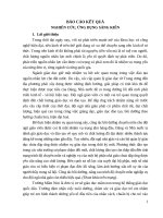 SKKN một số biện pháp bồi dưỡng nâng cao chất lượng dạy học cho đội ngũ giáo viên trường mầm non đống đa 