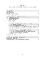 SKKN phương pháp giải bài toán sắt và hợp chất của sắt 