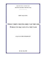 Phát triển thương hiệu tập thể cho trái cây đặc sản của việt nam 