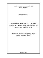 Nghiên cứu tổng hợp vật liệu gốc PANi xơ dừa định hướng hấp phụ ion fe2+ trong môi trường nước 