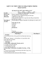 cau truc soan giao an mam non